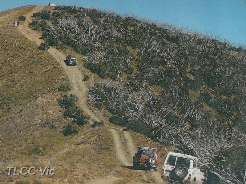 2009-Blue Rag to the Top-(Photo by Michael Coldham).jpg